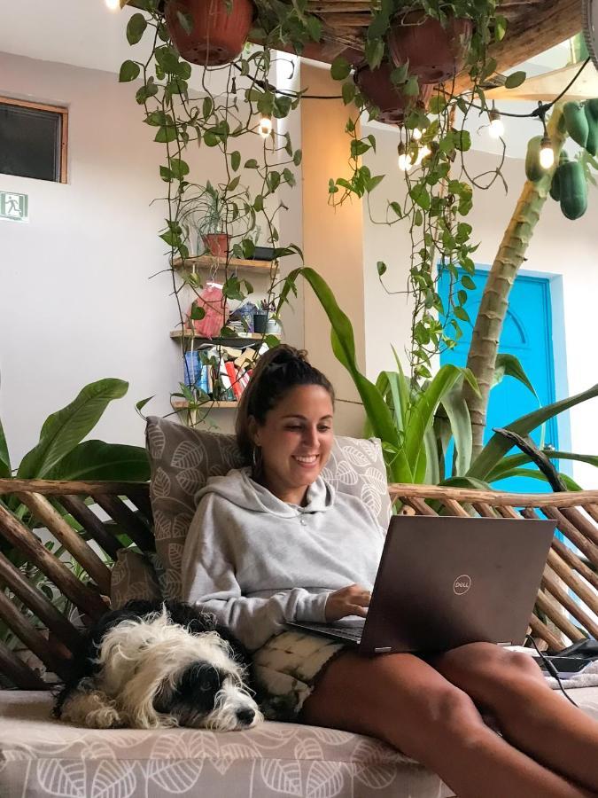 Barco Verde Hostel 홀박스아일랜드 외부 사진