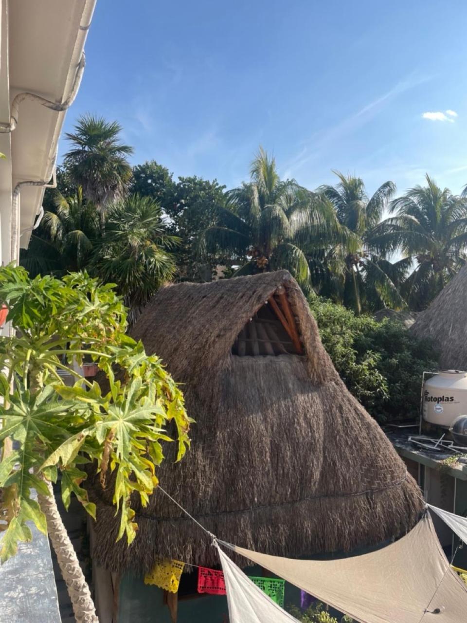 Barco Verde Hostel 홀박스아일랜드 외부 사진