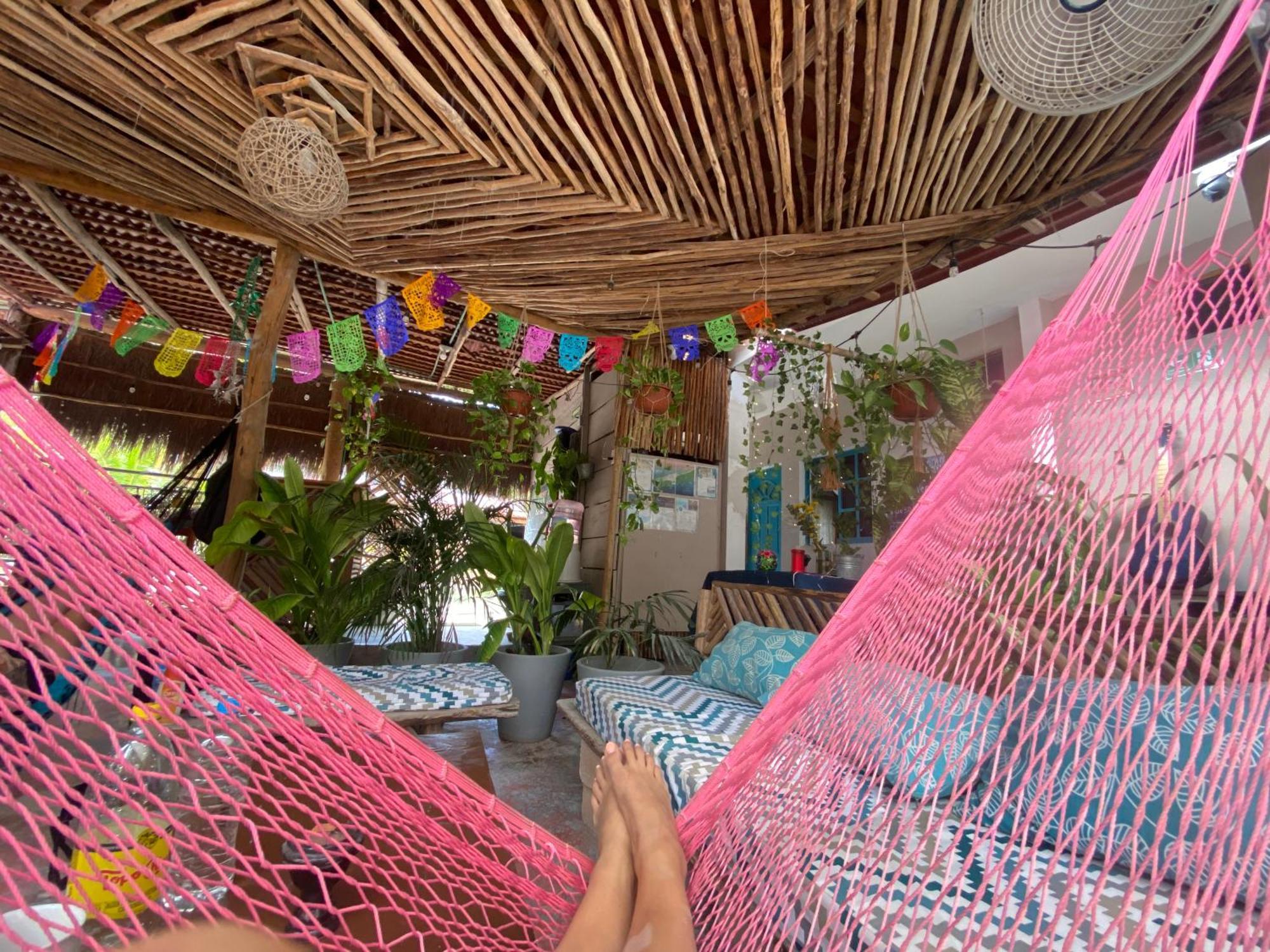 Barco Verde Hostel 홀박스아일랜드 외부 사진